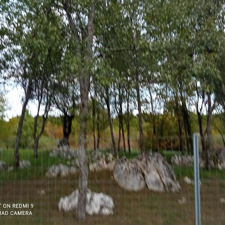 Apartman Deda Rakovica Exterior photo
